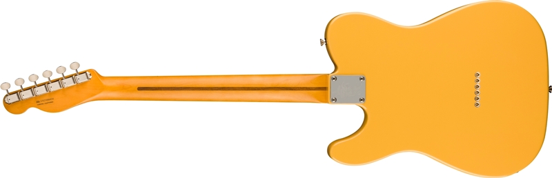 Britt Daniel Tele Thinline back